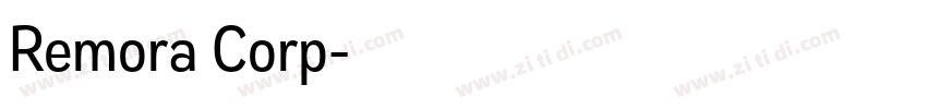 Remora Corp字体转换